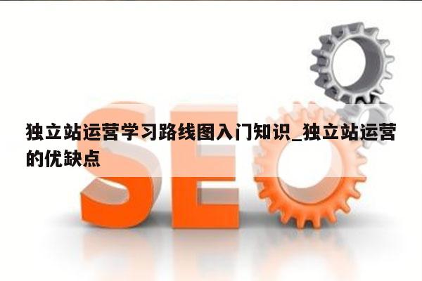 独立站运营学习路线图入门知识_独立站运营的优缺点