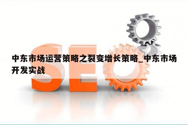 中东市场运营策略之裂变增长策略_中东市场开发实战