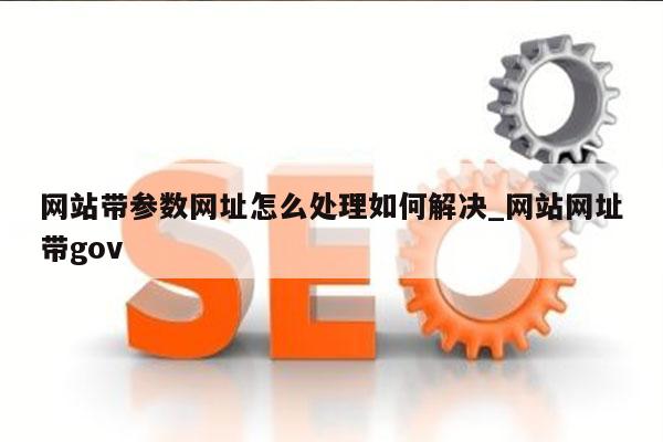 网站带参数网址怎么处理如何解决_网站网址带gov