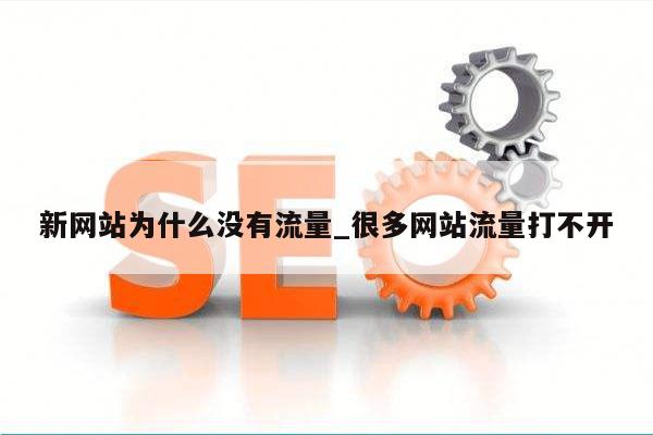 新网站为什么没有流量_很多网站流量打不开