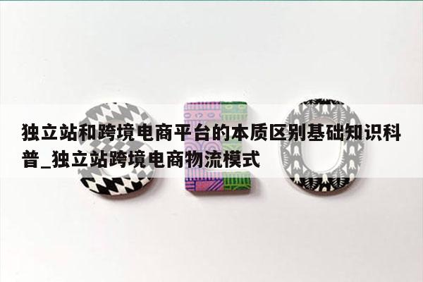 独立站和跨境电商平台的本质区别基础知识科普_独立站跨境电商物流模式