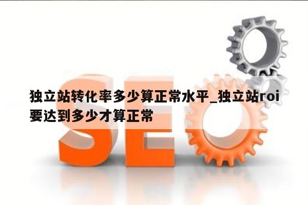 独立站转化率多少算正常水平_独立站roi要达到多少才算正常