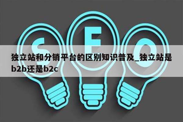 独立站和分销平台的区别知识普及_独立站是b2b还是b2c