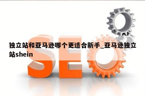 独立站和亚马逊哪个更适合新手_亚马逊独立站shein