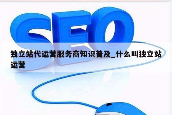 独立站代运营服务商知识普及_什么叫独立站运营