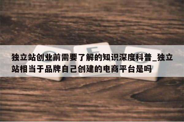 独立站创业前需要了解的知识深度科普_独立站相当于品牌自己创建的电商平台是吗