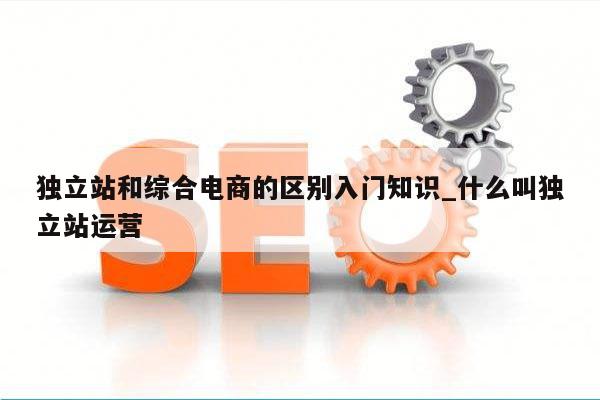 独立站和综合电商的区别入门知识_什么叫独立站运营