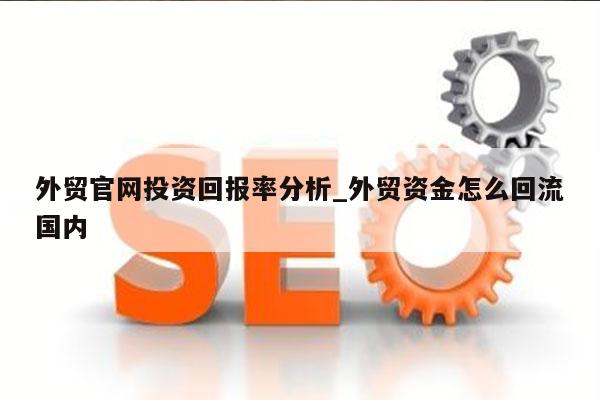 外贸官网投资回报率分析_外贸资金怎么回流国内
