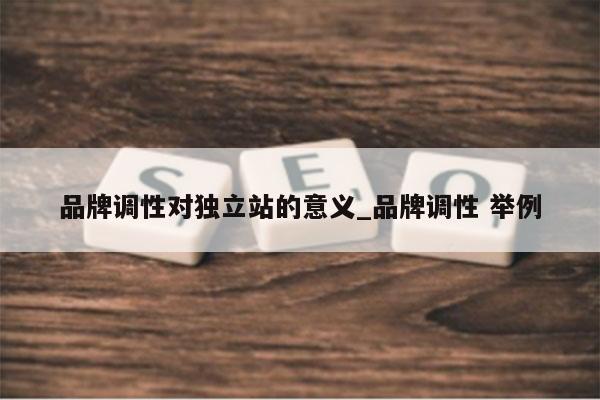 品牌调性对独立站的意义_品牌调性 举例