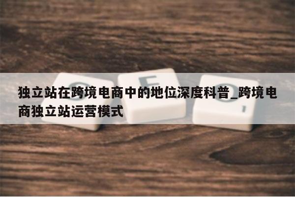 独立站在跨境电商中的地位深度科普_跨境电商独立站运营模式