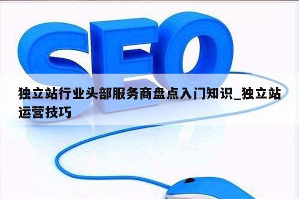 独立站行业头部服务商盘点入门知识_独立站运营技巧