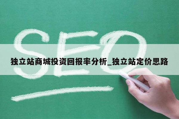 独立站商城投资回报率分析_独立站定价思路