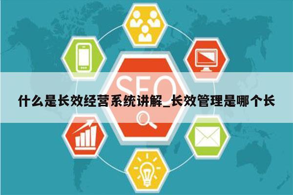 什么是长效经营系统讲解_长效管理是哪个长