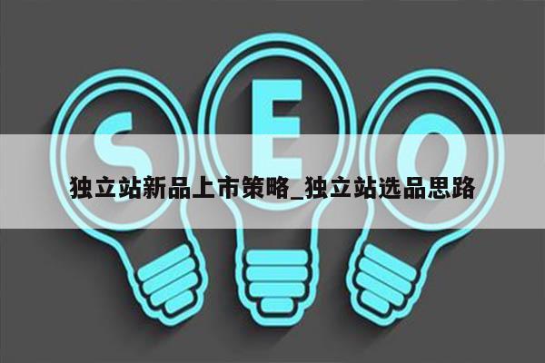 独立站新品上市策略_独立站选品思路