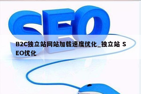 B2C独立站网站加载速度优化_独立站 SEO优化