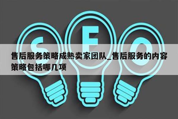 售后服务策略成熟卖家团队_售后服务的内容策略包括哪几项