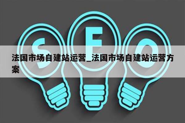 法国市场自建站运营_法国市场自建站运营方案