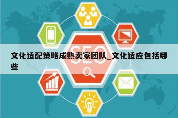 文化适配策略成熟卖家团队_文化适应包括哪些
