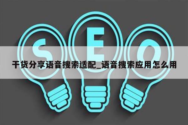 干货分享语音搜索适配_语音搜索应用怎么用