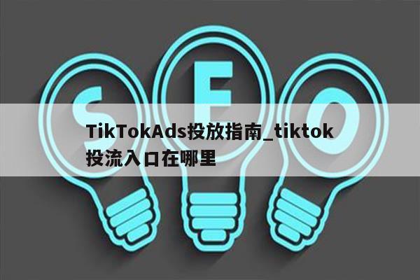 TikTokAds投放指南_tiktok投流入口在哪里