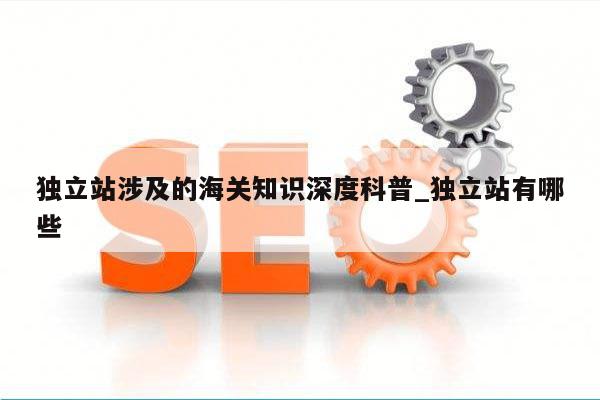 独立站涉及的海关知识深度科普_独立站有哪些