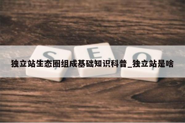 独立站生态圈组成基础知识科普_独立站是啥
