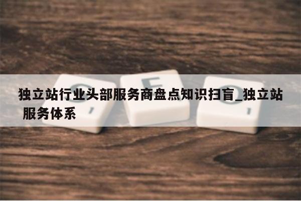 独立站行业头部服务商盘点知识扫盲_独立站 服务体系