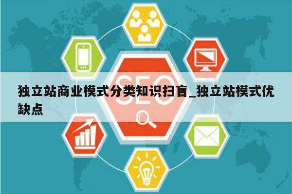 独立站商业模式分类知识扫盲_独立站模式优缺点