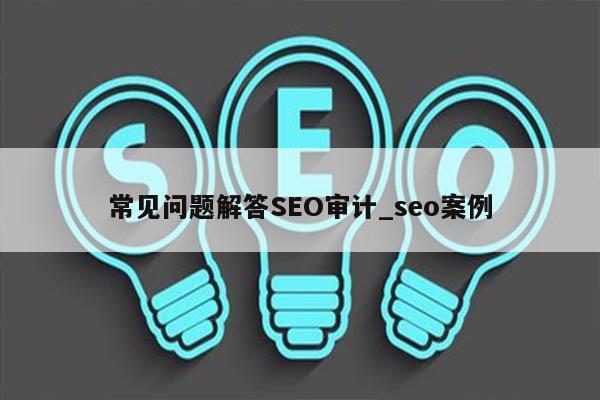 常见问题解答SEO审计_seo案例