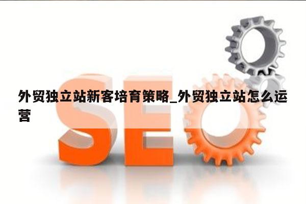 外贸独立站新客培育策略_外贸独立站怎么运营