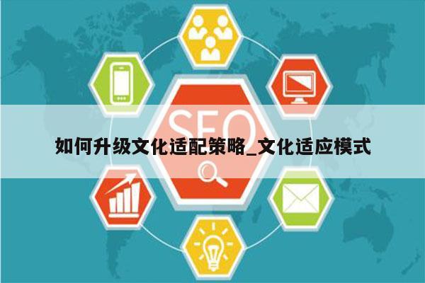 如何升级文化适配策略_文化适应模式