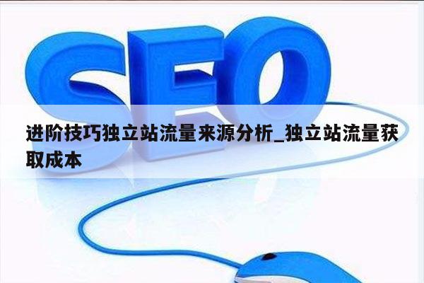 进阶技巧独立站流量来源分析_独立站流量获取成本