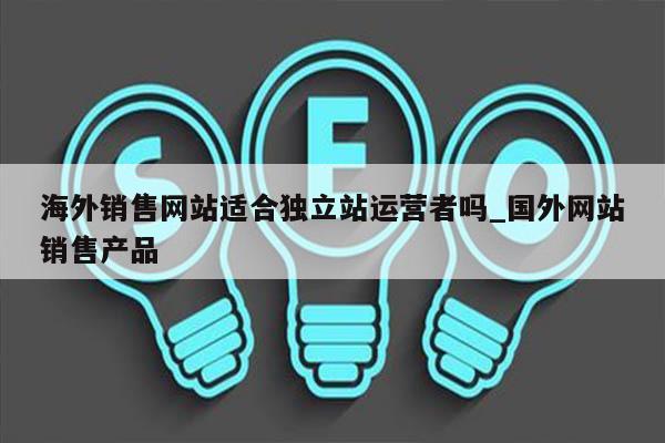海外销售网站适合独立站运营者吗_国外网站销售产品