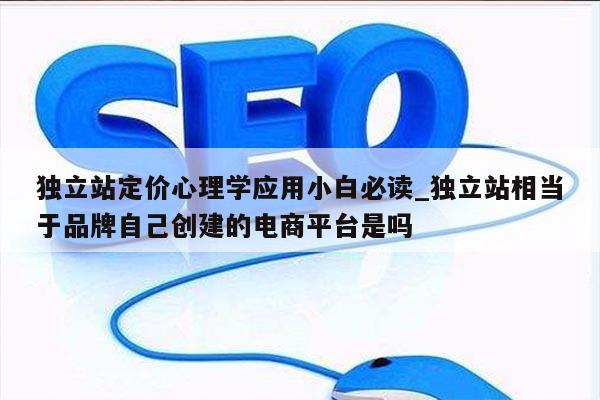 独立站定价心理学应用小白必读_独立站相当于品牌自己创建的电商平台是吗