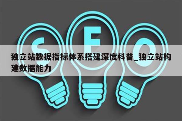 独立站数据指标体系搭建深度科普_独立站构建数据能力