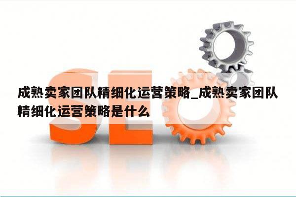 成熟卖家团队精细化运营策略_成熟卖家团队精细化运营策略是什么