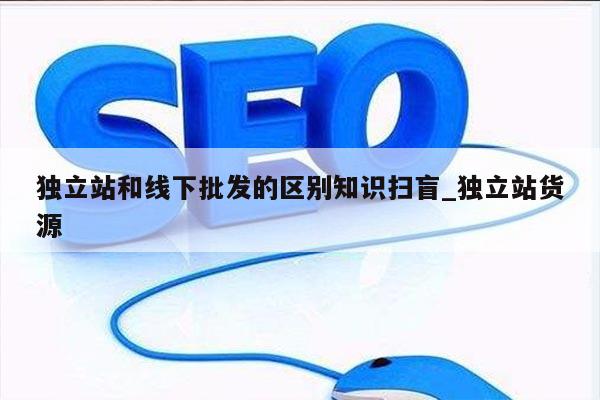独立站和线下批发的区别知识扫盲_独立站货源