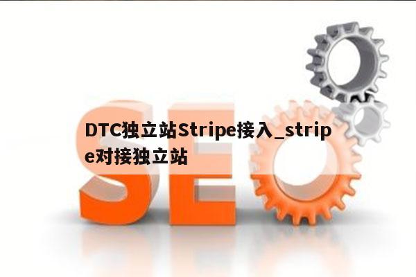 DTC独立站Stripe接入_stripe对接独立站