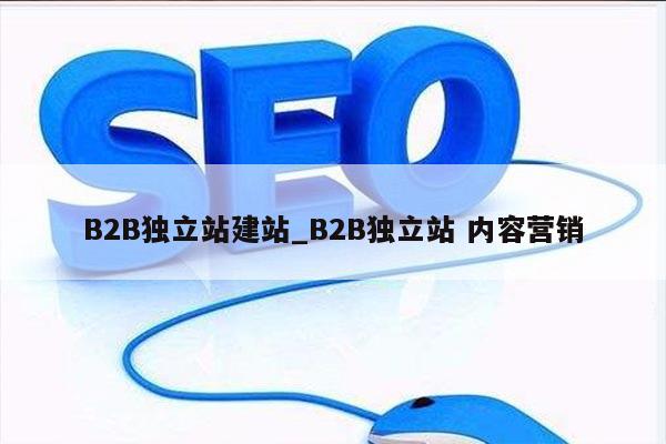 B2B独立站建站_B2B独立站 内容营销