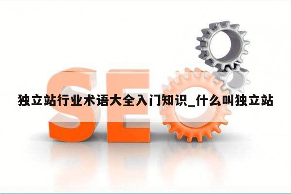 独立站行业术语大全入门知识_什么叫独立站