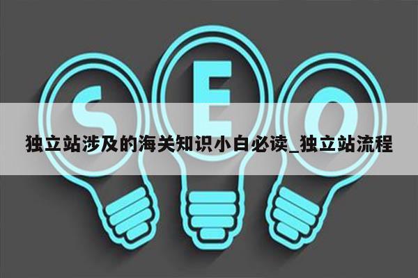 独立站涉及的海关知识小白必读_独立站流程