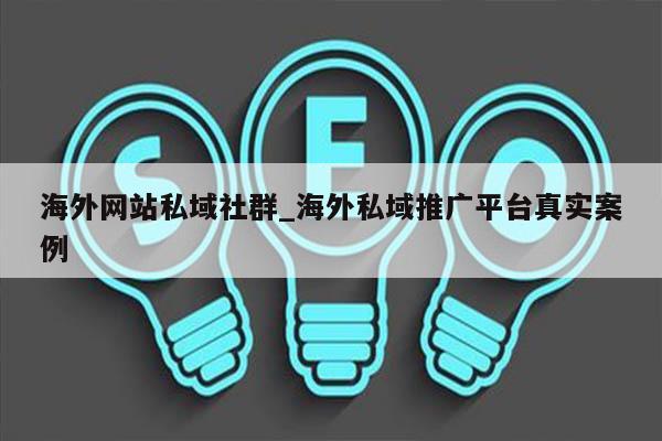 海外网站私域社群_海外私域推广平台真实案例