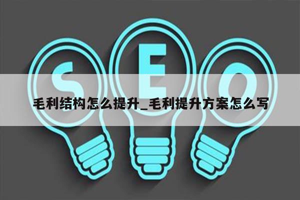 毛利结构怎么提升_毛利提升方案怎么写