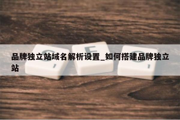 品牌独立站域名解析设置_如何搭建品牌独立站