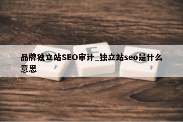品牌独立站SEO审计_独立站seo是什么意思