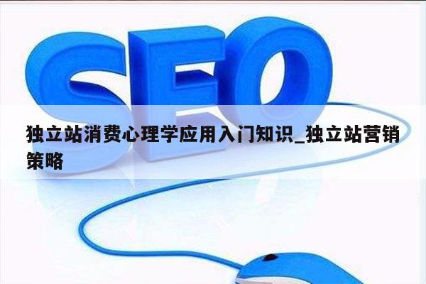 独立站消费心理学应用入门知识_独立站营销策略