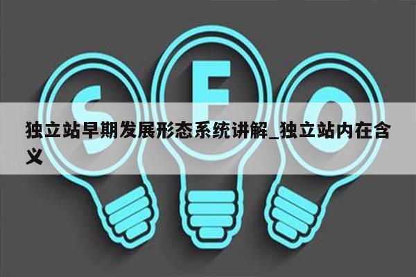 独立站早期发展形态系统讲解_独立站内在含义