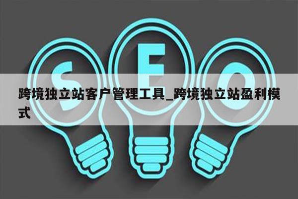 跨境独立站客户管理工具_跨境独立站盈利模式