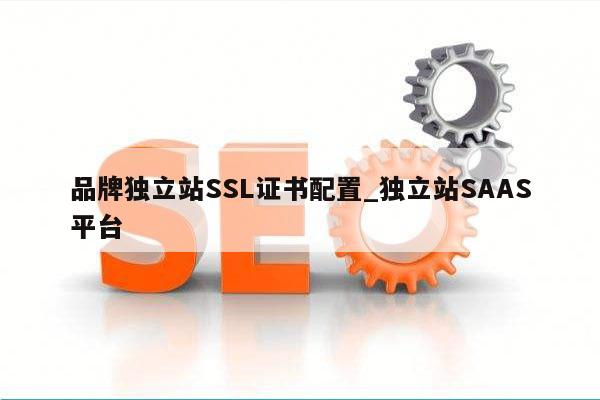 品牌独立站SSL证书配置_独立站SAAS平台