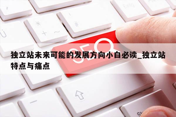 独立站未来可能的发展方向小白必读_独立站特点与痛点